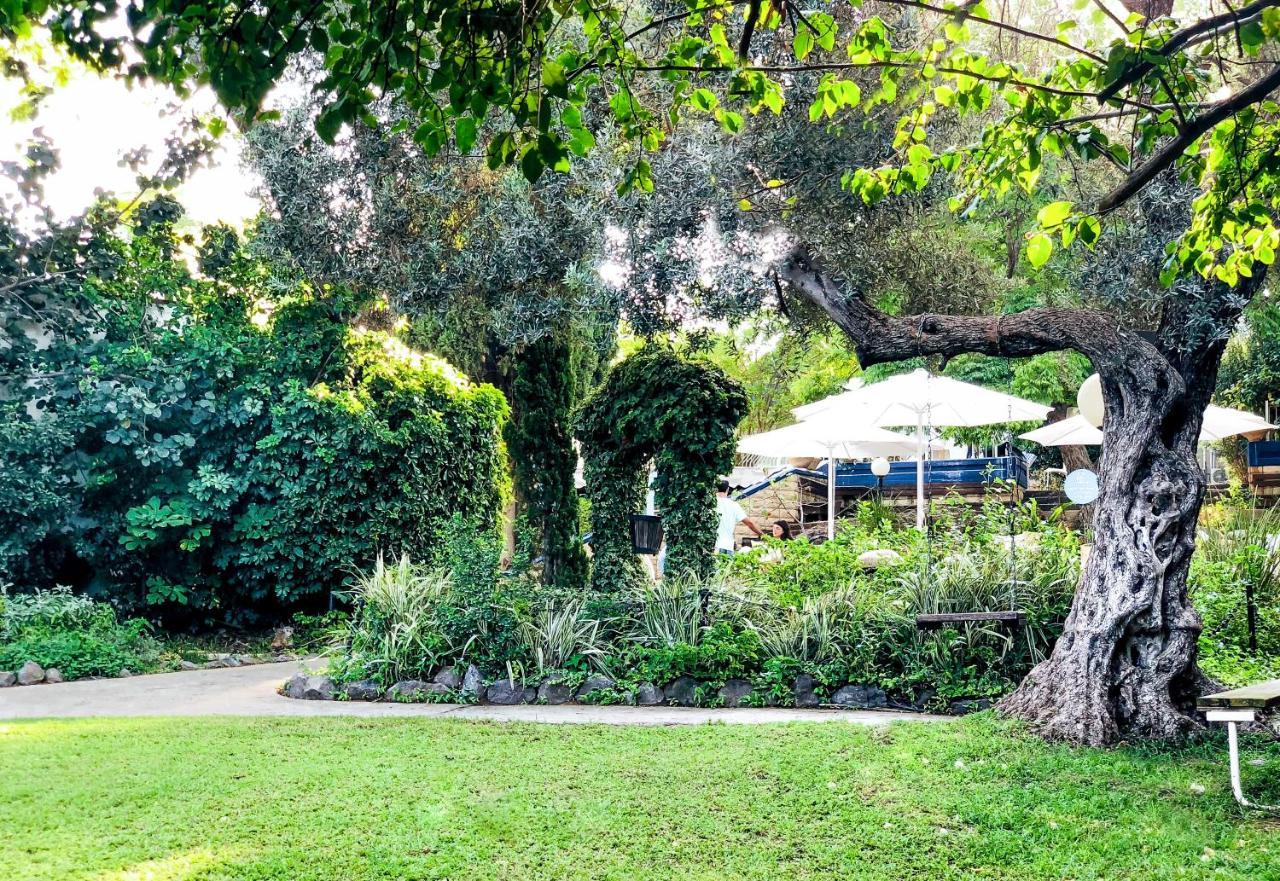 Travel Hotel Gesher Haziv Dış mekan fotoğraf